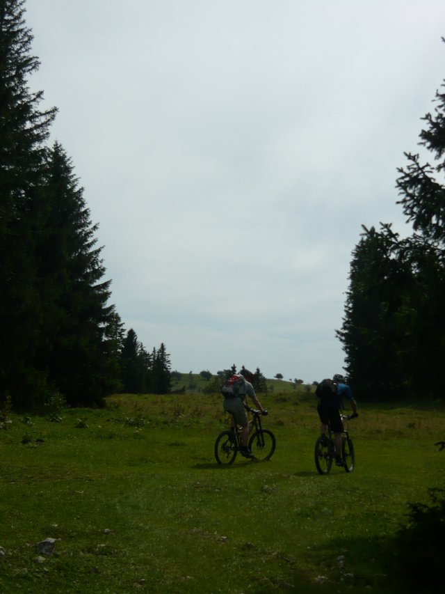 photo12.jpg