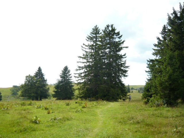 photo13.jpg