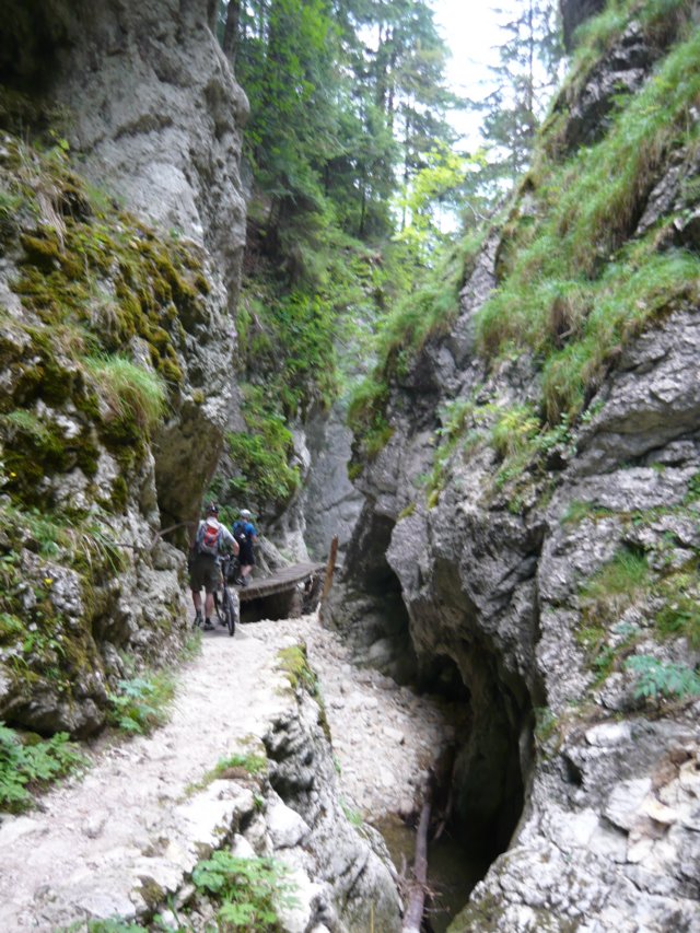 photo26.jpg