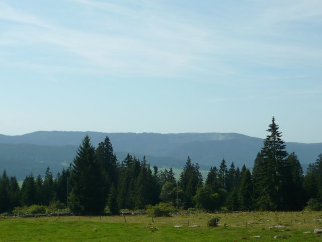 photo3.jpg