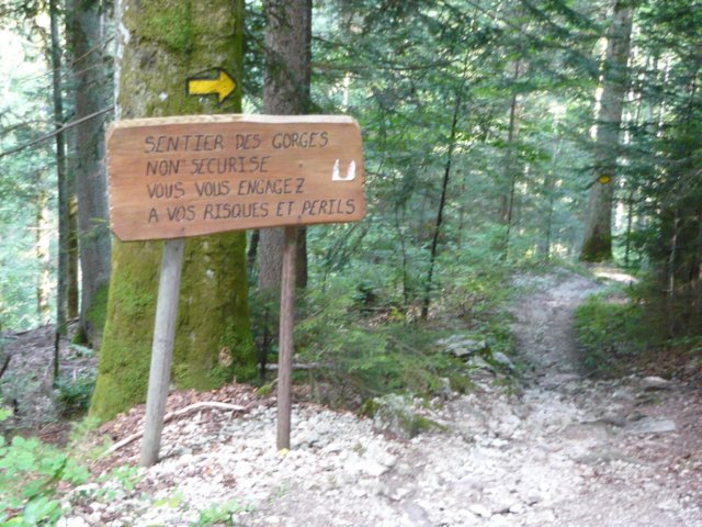 photo35.jpg