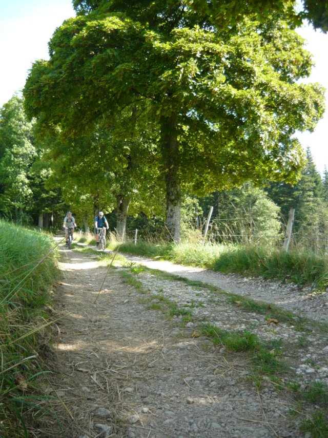 photo4.jpg