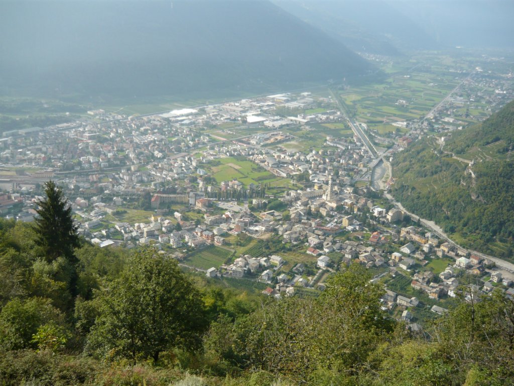 Photograph