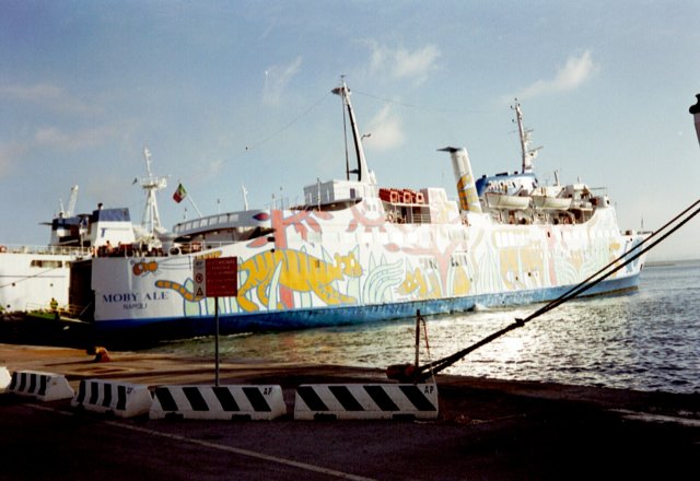 Photograph