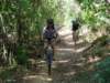 Photo Number 13