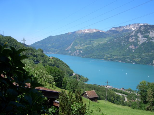 Photograph