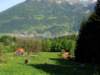 Photo Number 6