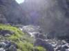 Photo Number 8