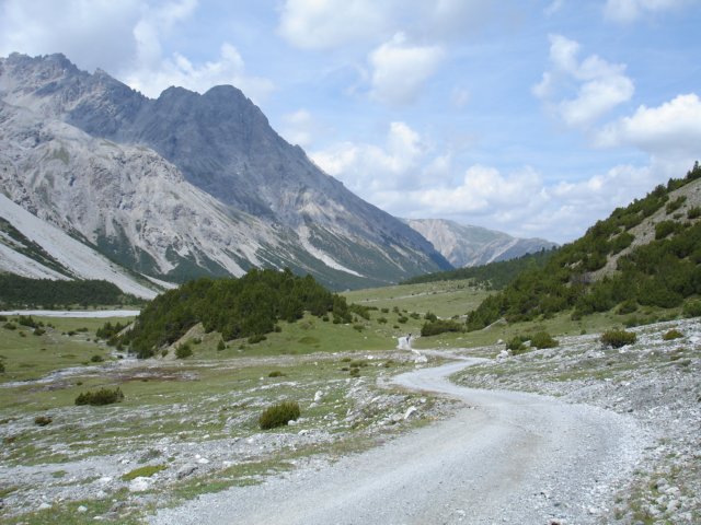 Photograph